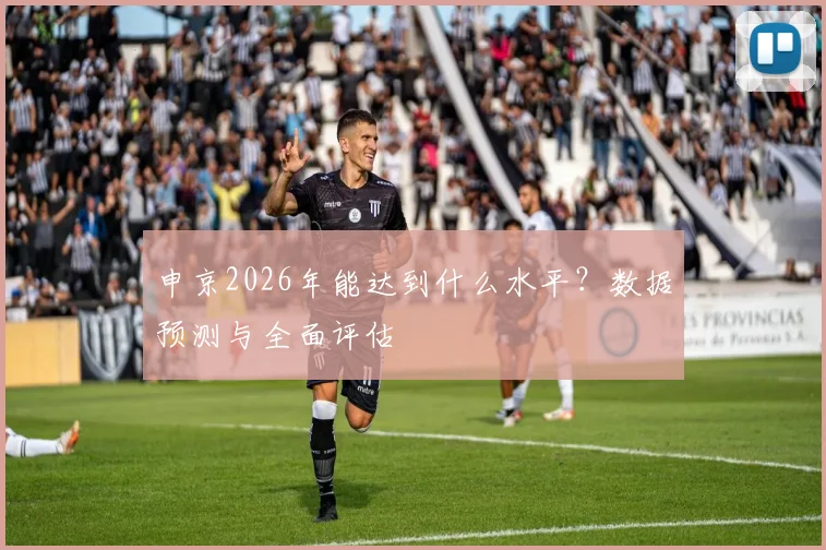 申京2026年能达到什么水平?数据预测与全面评估